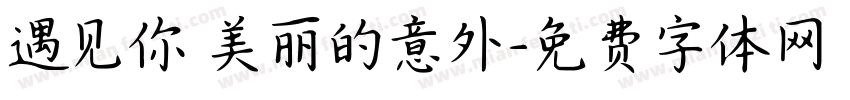 遇见你 美丽的意外字体转换